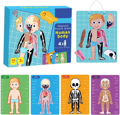 Ein guter Preis. 48 Stück Lernmagnetischer menschlicher Körper Puzzlespielzeug für Kleinkinder ab 3 Jahren Online